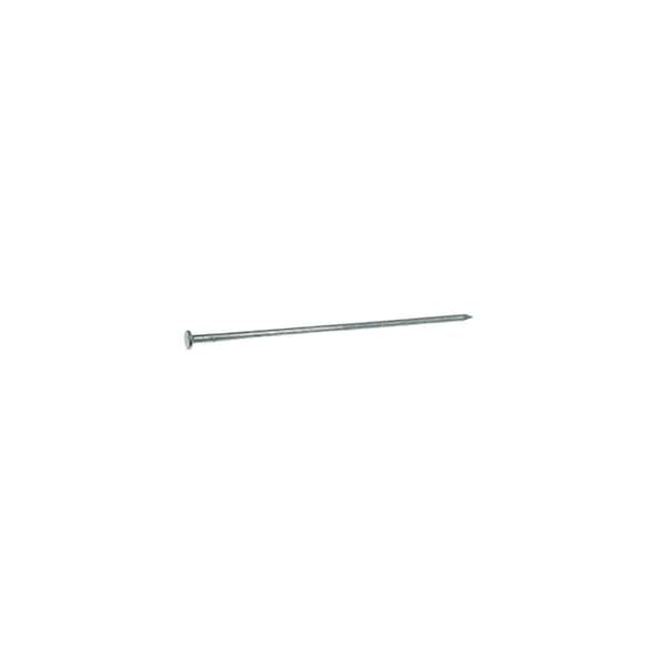 Common Nail, 6 in L, 60D, Steel, Hot Dipped Galvanized Finish, 5 ga